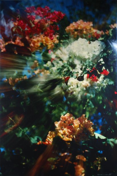 Olivier DASSAULT (1951-2021) 
Fleurs 
Tirage...