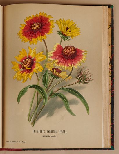 null HESDORFFER. Atlas colorié de fleurs de jardin. Paris, Baillière, 1902, in-4,...