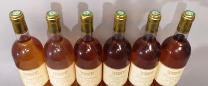 null 6 bouteilles CASTELNAU de SUDUIRAUT - Sauternes - 1996
Une étiquette légèrement...