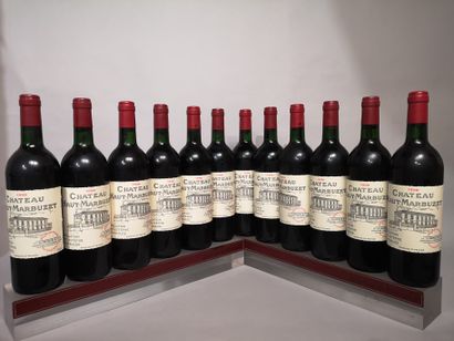 12 bouteilles Château HAUT MARBUZET - Saint...