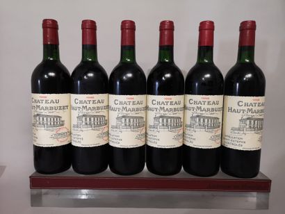 6 bouteilles Château HAUT MARBUZET - Saint...