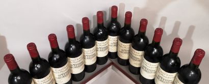 null 12 bouteilles Château HAUT MARBUZET - Saint Estèphe - 1996

Nous informons les...