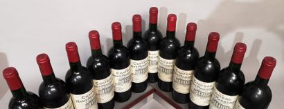 null 12 bottles Château HAUT MARBUZET - Saint Estèphe - 1998

We inform the buyers...