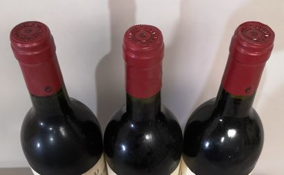 null 3 bouteilles Château HAUT MARBUZET - Saint Estèphe - 1996
Etiquettes légèrement...