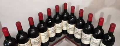 null 12 bouteilles Château HAUT MARBUZET - Saint Estèphe - 1998

Nous informons les...