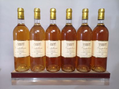 6 bouteilles CASTELNAU de SUDUIRAUT - Sauternes...