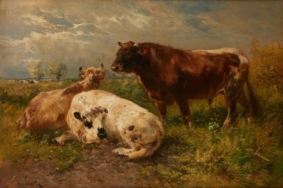 Henry SCHOUTEN (1857/64-1927) 
Vaches au...