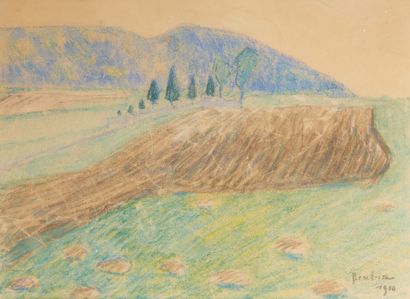 null Francis PICABIA (1879-1953) 
Paysage aux neuf arbres 
Pastel sur papier signé...