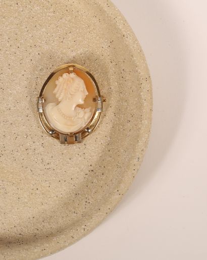 null Two-tone 18K gold 750‰ brooch, oval shape, adorned with a cameo on shell representing...