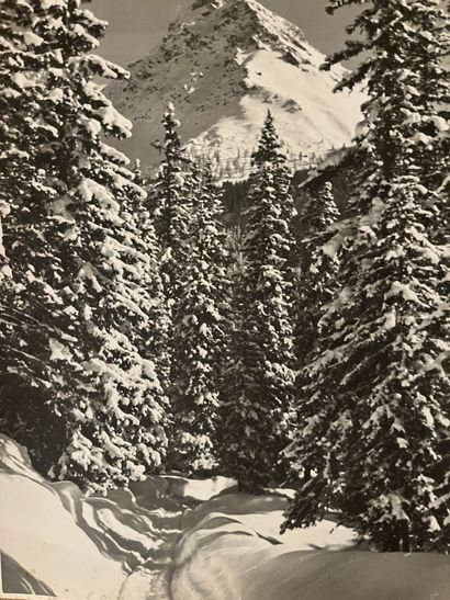 null Lot of 17 original silver photographs circa 1930 
Views of Arosa in the Swiss...