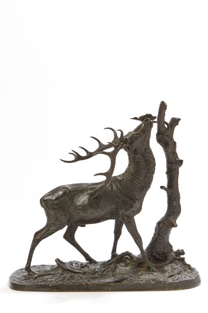  D’après Pierre-Jules MENE (1810-1879)
Cerf
Epreuve en bronze à patine brune verte
Signée... Gazette Drouot