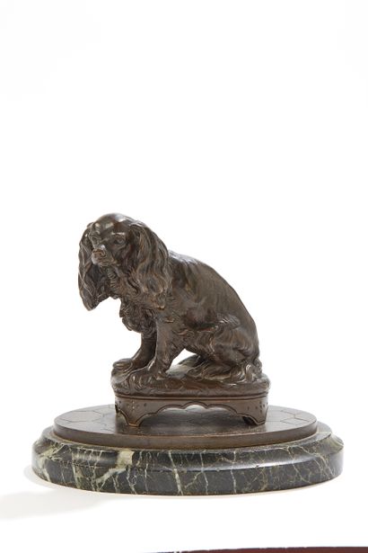  Cavalier King Charles assis
Epreuve en bronze à patine brune
H. 13,5 x L. 15,5 ... Gazette Drouot