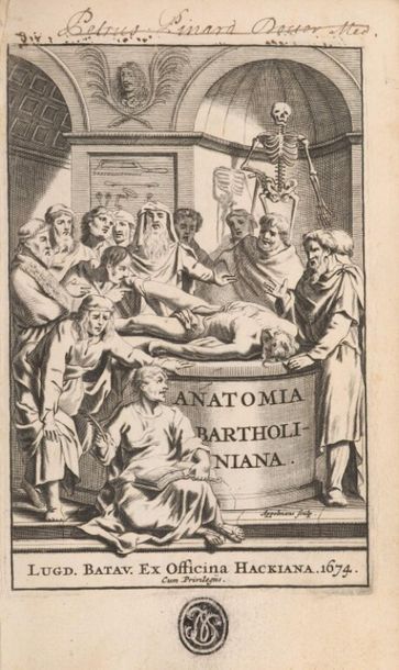 null BARTHOLIN (Thomas). Anatome ex omnium veterum recentiorumque observationibus...