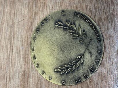 null LOT de 9 médailles et plaques en bronze, métal ou cuivre comprenant : 
- médaille...