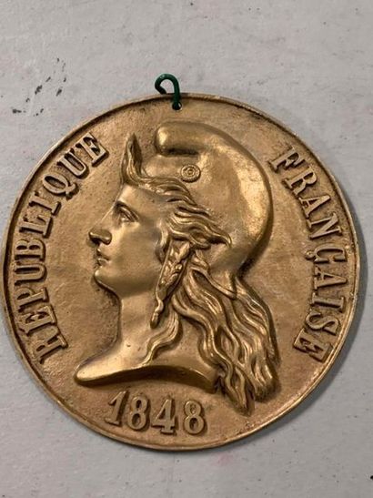 null ENSEMBLE DE 7 PLAQUES MEDAILLON en bronze ou métal argenté au profil de Marianne...