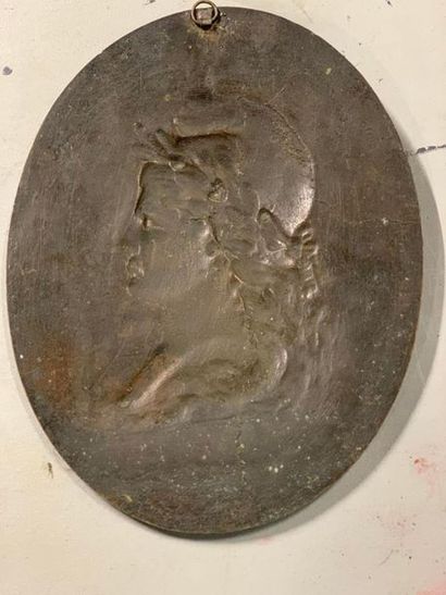 null ENSEMBLE DE 7 PLAQUES MEDAILLON en bronze ou métal argenté au profil de Marianne...