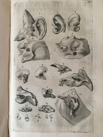 null FABRIZI d'ACQUAPENDENTE (Girolamo). Tractatus anatomicus triplex. De Oculo De...