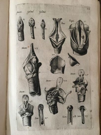 null FABRIZI d'ACQUAPENDENTE (Girolamo). Tractatus anatomicus triplex. De Oculo De...