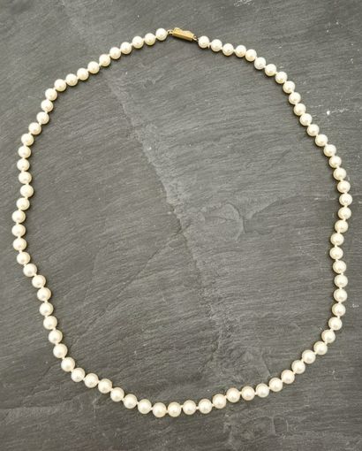 null COLLIER de perles de culture choker 5,2 mm, fermoir en or jaune 18K (750 millièmes).

PB...