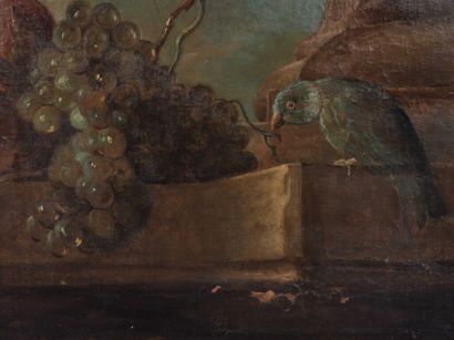 null École FRANÇAISE du XVIIIe siècle.

Nature morte aux fruits et perroquet.

Huile...