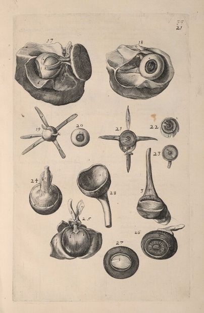 null FABRIZI d'ACQUAPENDENTE (Girolamo). Tractatus anatomicus triplex. De Oculo De...