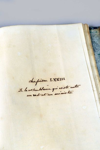 null [Manuscrit]. PUYCOUSIN (Édouard de). Mémoires du diable. Paris, 1832. 2 vol....