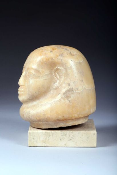null * Tête de vase canope représentant un des quatre fils d'Amon.

Albâtre rubané.

Égypte...