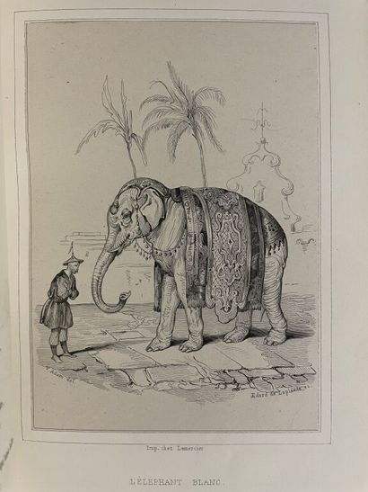 null [Illustrés du XIXe siècle]. Ensemble de 7 ouvrages : 

- ADAM. FLORIAN. Fables,...