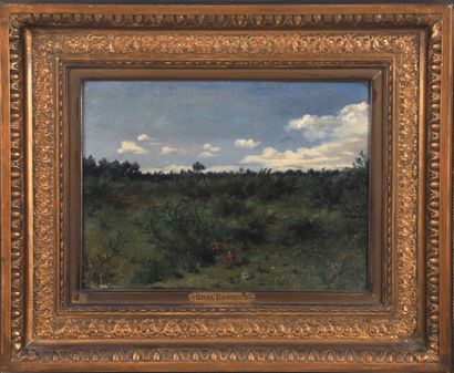 null Rosa BONHEUR (1822-1899).

Les fougères et les bruyères sous le ciel bleu (Paysage...