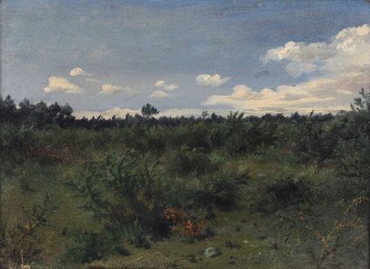 null Rosa BONHEUR (1822-1899).

Les fougères et les bruyères sous le ciel bleu (Paysage...