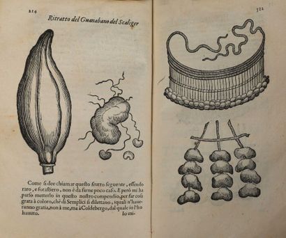  [Livre du XVIe siècle]. ORTA (Garcia da). Dell'historia de i semplici aromati, et...