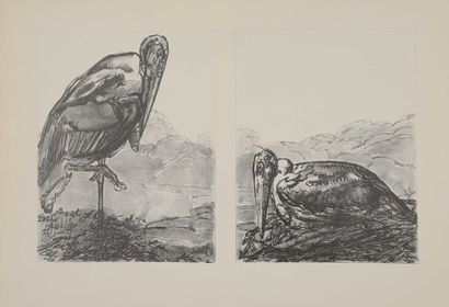 null Paul JOUVE (1878-1973). 39 compositions originales en lithographie, destinées...