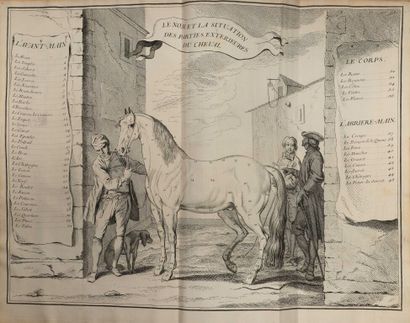  [Hippologie ; Équitation]. LA GUÉRINIÈRE (François Robichon de). École de cavalerie,...