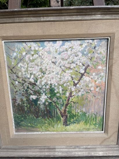 Jacques BILLE (1880-c.1943) 
Cherry trees...