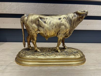 null After Rosa BONHEUR (1822-1899). 

Bull. 

Proof in gilded bronze.

Signed "Rosa...