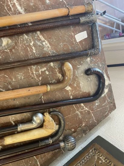 Lot of 9 canes including milord, corbin head,...