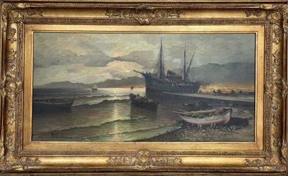 null Mario COLUCCI

Bord de mer, soleil couchant.

Huile sur toile.

Signée en bas...