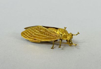 null Broche cigale en or jaune (750).

Poids : 5,2 cm.

Larg. : 4 cm.