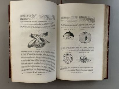 null BAILLON (Henri). Histoire des plantes. Paris, Hachette, 1867-1895. 13 vol. in-4,...