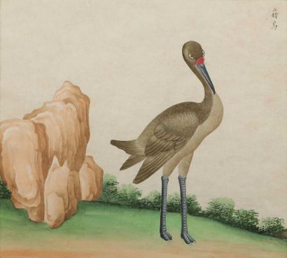 null * CHINA, Canton.
Suite of six gouaches on paper representing birds, four of...