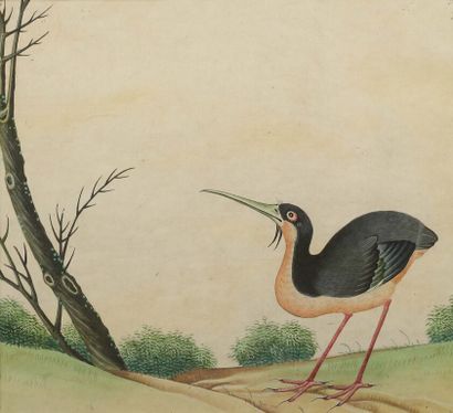 null * CHINA, Canton.
Suite of six gouaches on paper representing birds, four of...
