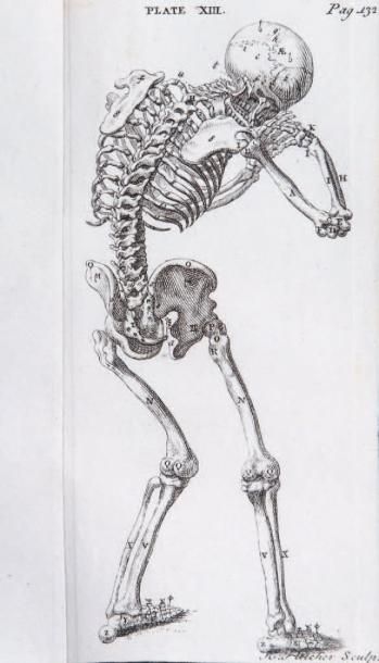THOMSON (GEORGE) The anatomy of the human bones; with an account of muscular motion,...