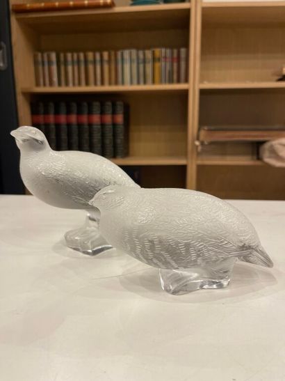 null LALIQUE FRANCE.
2 pressed glass quails.
Signed.
12.5 x 14 cm; 8 x 17 cm.
(Chips...
