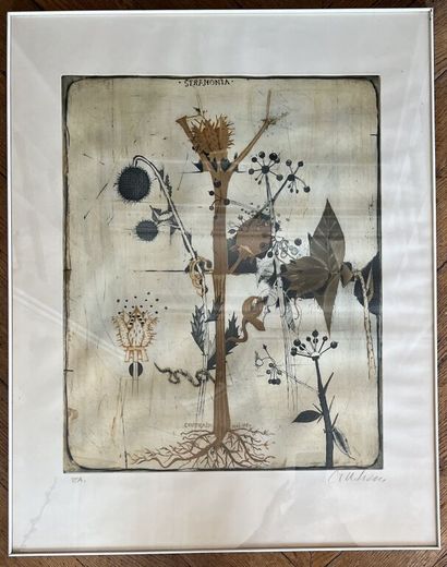 null Brigitte COUDRAIN (1934).
Stramonia.
Etching.
Titled, signed and dated May [19]71...