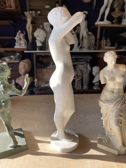null Modesty.
Plaster. 
H. 40 cm. 

Enclosed: 

- The Venus de Milo. 
Resin, Louvre...