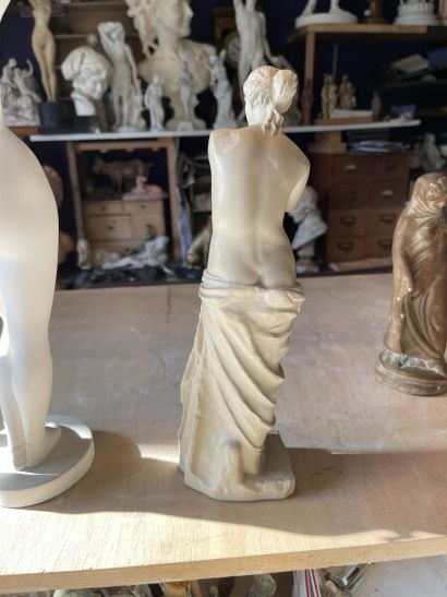 null Modesty.
Plaster. 
H. 40 cm. 

Enclosed: 

- The Venus de Milo. 
Resin, Louvre...