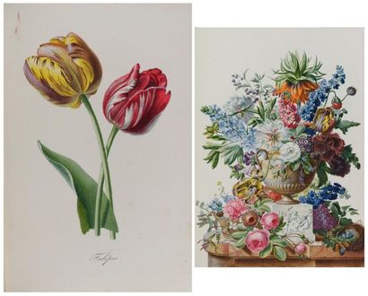 null [BOTANIQUE] DUFOUR (MLLE AUGUSTINE). L'art de peindre les fleurs à l'aquarelle,...