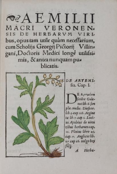 null [BOTANIQUE] MACER (FLORIDUS). De Herbarum virtutibus Æm. Macri Veron. Elegantissima...