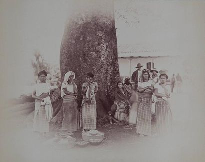 [GUATEMALA] Campagnards à l?entrée de la ville de Guatemala sous un Ceïba, vers 1880....