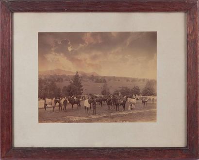 Joseph CHECK (1856-1936) Première vente de chevaux organisée au haras de Turanville...